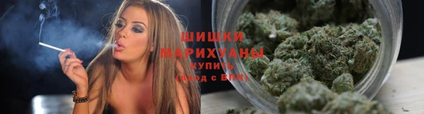 соль ск Белокуриха