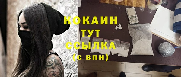 соль ск Белокуриха