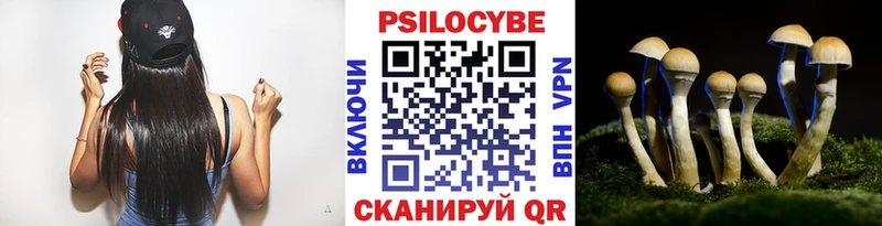 Галлюциногенные грибы GOLDEN TEACHER  omg зеркало  Вилючинск  купить наркотики сайты 